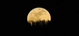 A Vermont Full Moon - Stefan Hard