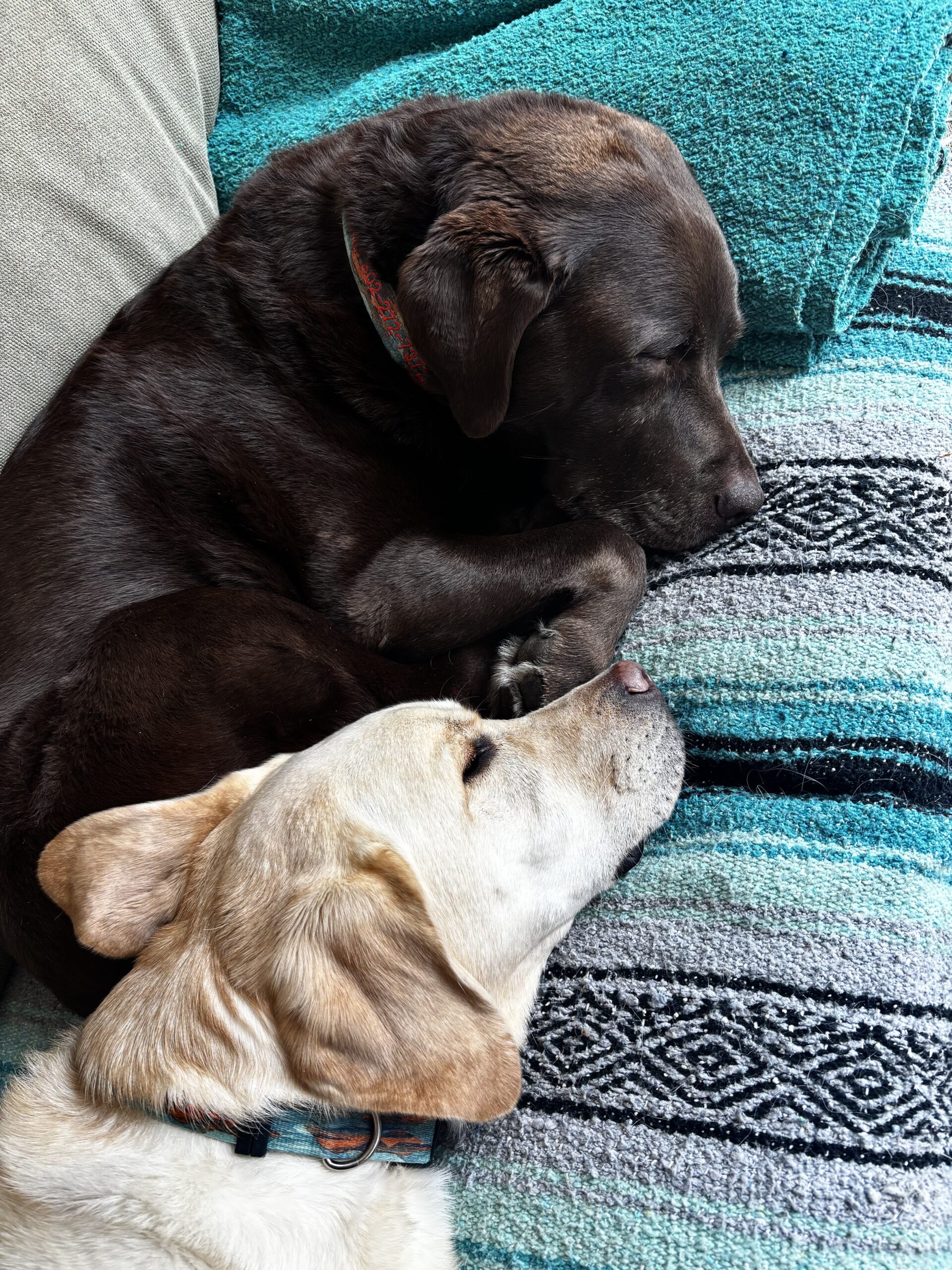 High alert is exhausting.